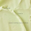 Beauty of Joseon Matte Sun Stick Mugwort+Camelia SPF50 Plus 18g 3