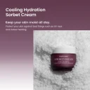 Heimish Black Rose Hydra Plumping Sorbet Cream 50ml 3
