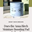 Anua Birch Moisture Boosting Pad 160ml (70ea)